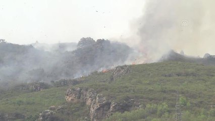 Pakistan'ın başkenti İslamabad'da orman yangını