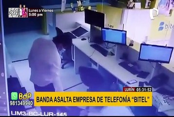Lurín: delincuentes maniatan y asaltan a trabajadores de empresa de telefonía