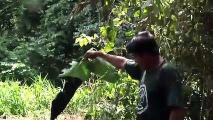 How to let Go of the World: and Love all the Things Climate Can'T Change (Trailer HD)