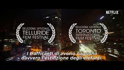 Caccia all'avorio (Trailer HD)