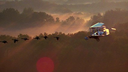 L'incredibile volo (Trailer HD)