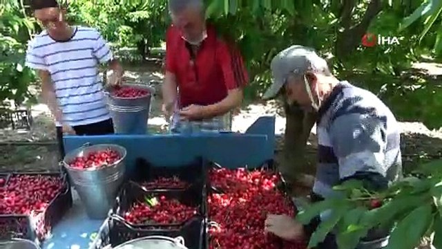 Turfanda kiraz tarlada 9 lira, markette 20 lira