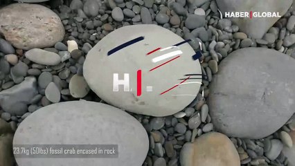 Milyonlarca yıllık fosili adım adım ortaya çıkardı