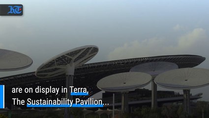 Expo 2020-terra-sustainability Art