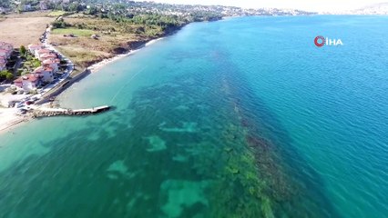 Karadeniz’in en güvenli sahilleri Sinop’ta