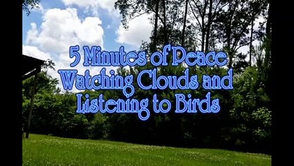 5 Minutes of Peace - Watching Clouds & Listening to Birds