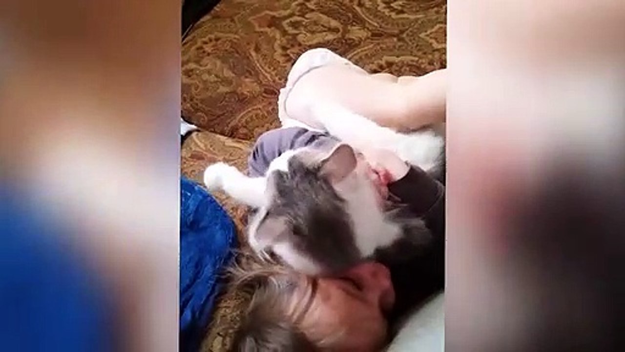 Funny Cats And Babies Playing Together ★ Animals Trolling Babies