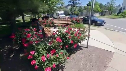 আমেরিকায় বাঙ্গালীরা কেমন বাড়িতে বাস করেন ।। EP 10    American Houses to LiveAmazing Azad@24thBCS WorldPro