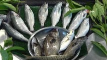Olta ve ağ balıkları tezgahlardaki yerini aldı: Hamsi 50, istavrit 40 liradan satılıyor