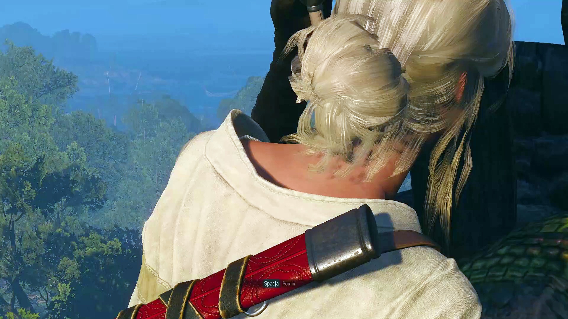 Wiedźmin 3 (moje filmy)