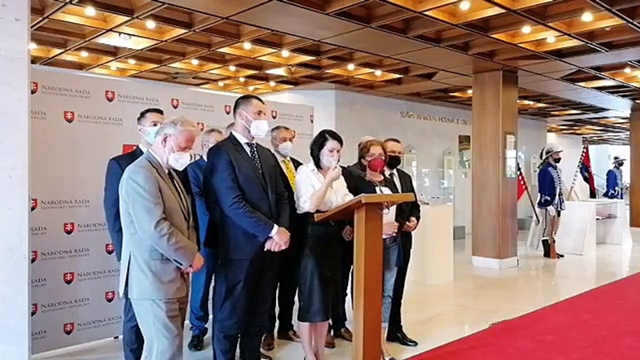 ZÁZNAM: TK strany SaS