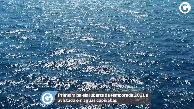 Primeira baleia jubarte da temporada 2021 é avistada em águas capixabas