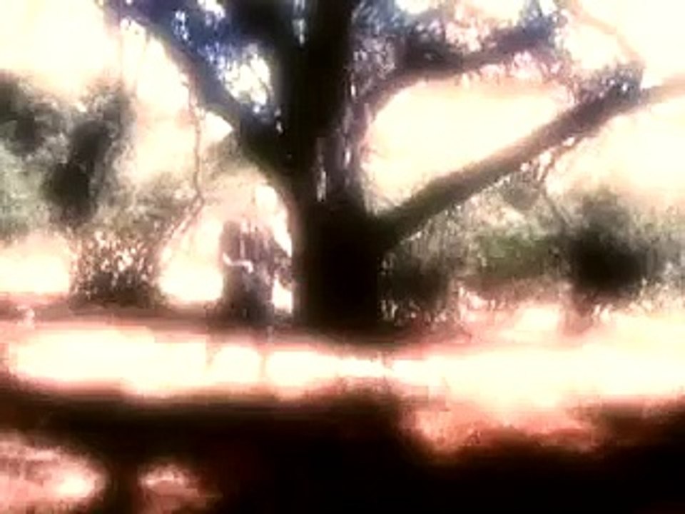 Python 2 (Trailer HD)