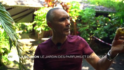 La Réunion - Le jardin des parfums et des épices