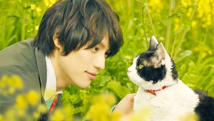 The Travelling Cat Chronicles (Trailer HD)