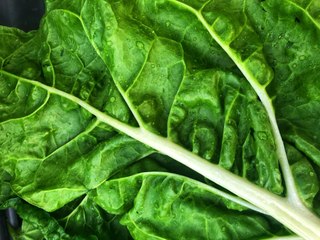 Un plat de ces aliments par jour peut réduire le risque de maladie cardiaque