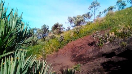 GUNUNG MERBABU VIA SELO -KEINDAHAN GUNUNG MERBABAU
