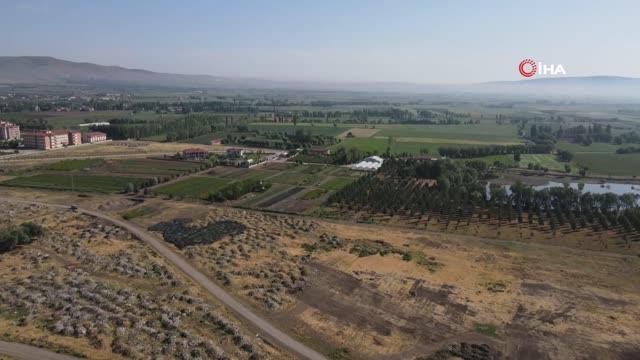 Bakan Kurum'un telekonferans katılımıyla Şuhut Millet Bahçesi'nde ilk fidan toprakla buluştu