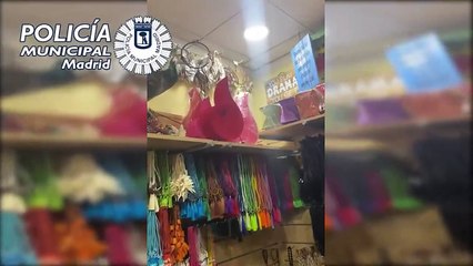Un pavo real pasea por el Centro de Madrid y se va de ‘compras’ a Lavapiés