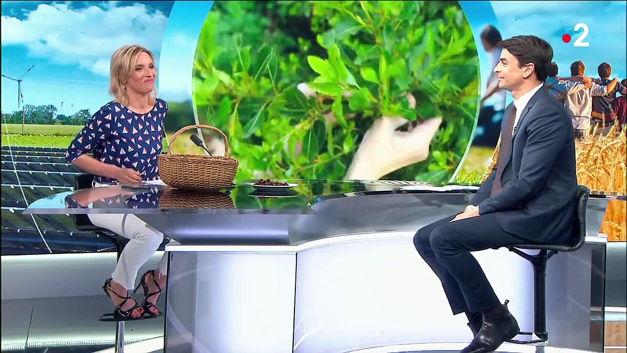 Alimentation : un site pour connecter jardinier...