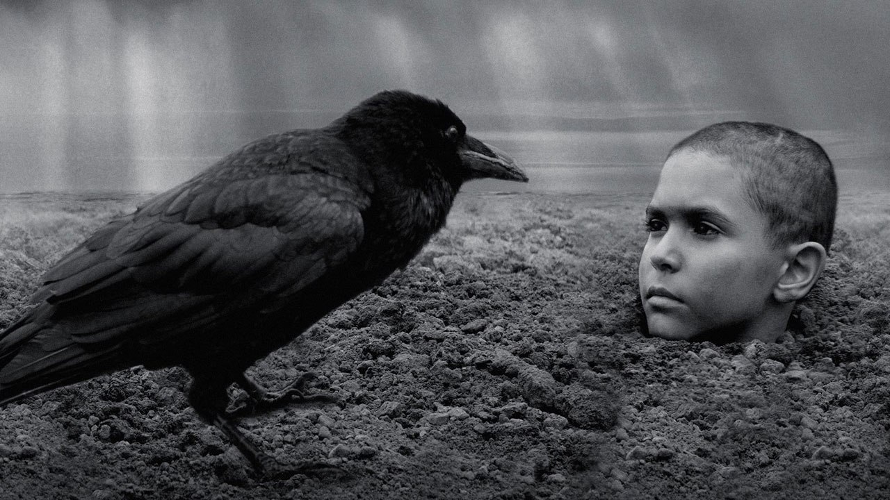 The Painted Bird (Trailer HD)