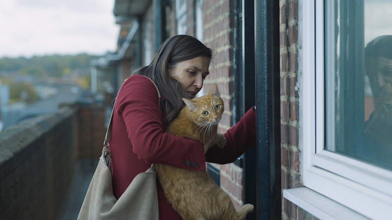Cat in the Wall (Trailer HD)