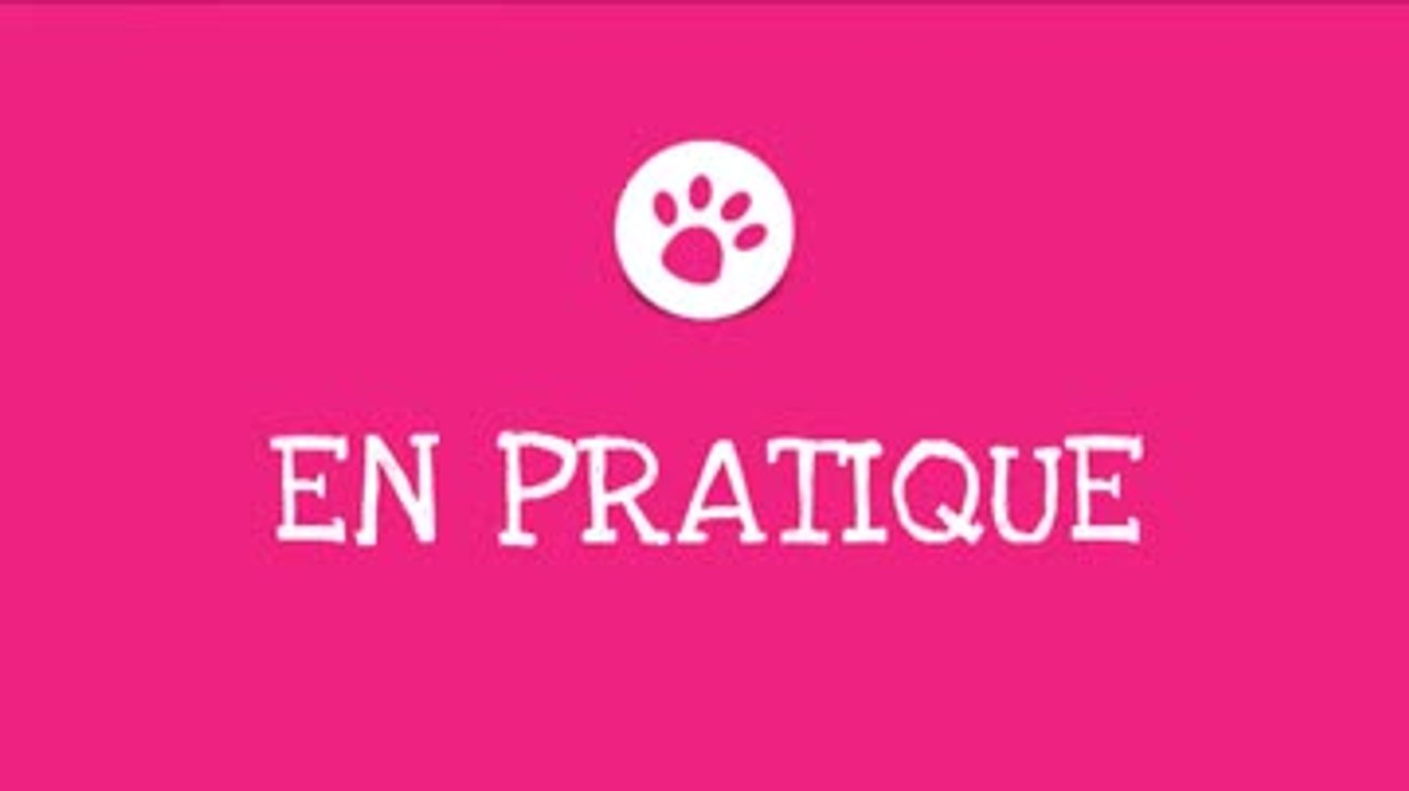 Comment nettoyer les yeux de votre chat