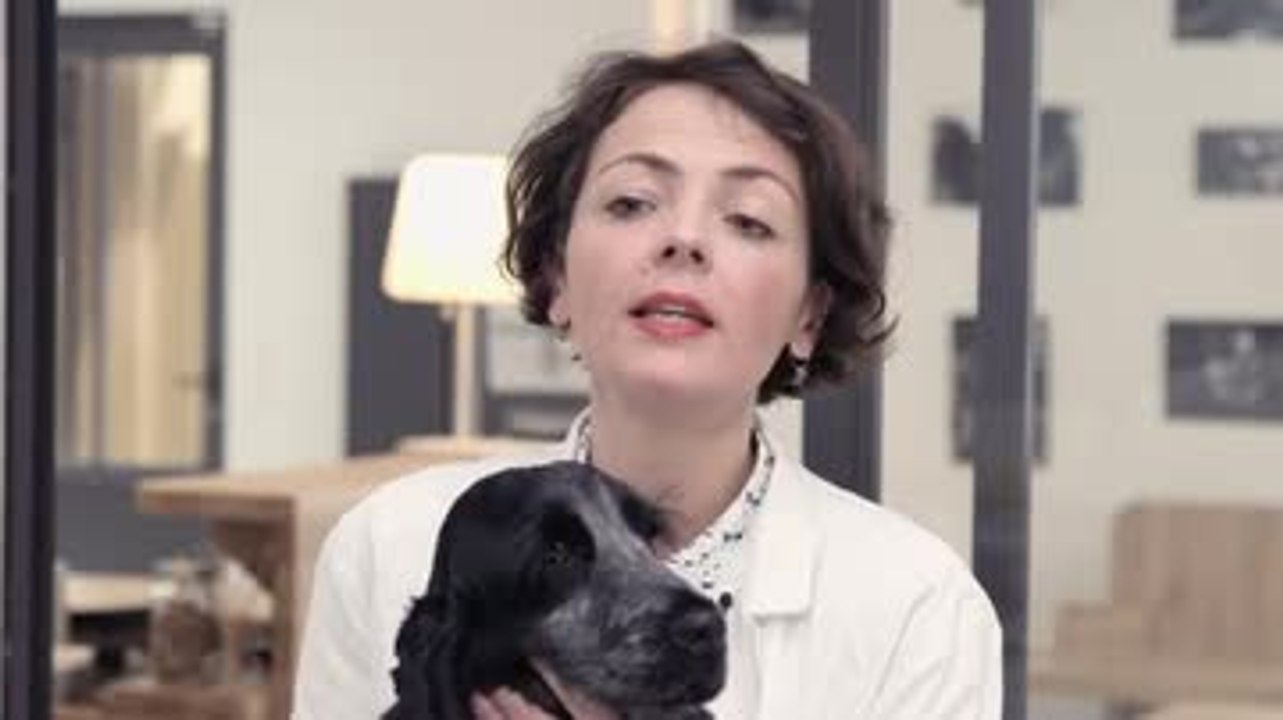 La grossesse nerveuse chez la chienne