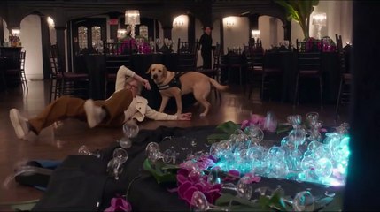 Love, Weddings & Other Disasters (Trailer HD)