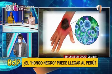 ¿El “Hongo Negro” puede llegar al Perú en plena pandemia de la COVID-19?