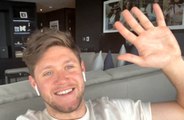 Niall Horan est partant pour reformer les One Direction... à une seule condition