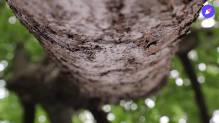 Méditation ant-stress