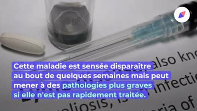 Des chercheurs découvrent une protéine qui protège de la maladie de Lyme