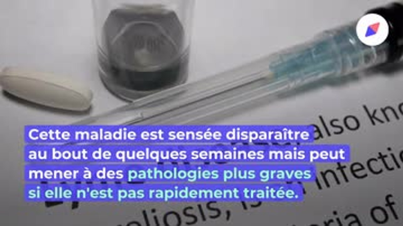 Des chercheurs découvrent une protéine qui protège de la maladie de Lyme