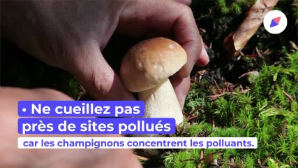 Intoxications aux champignons