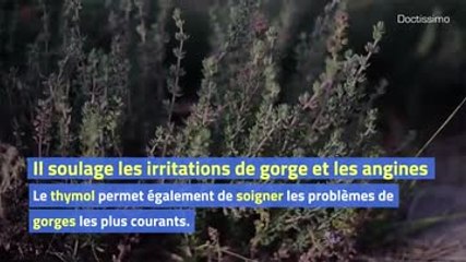 4 bienfaits du thym sur l'organisme