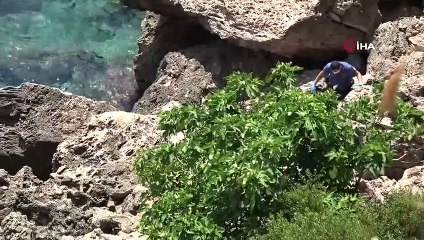 19 gündür kayıp olarak aranan  bilgisayar mühendisinin cesedi falezlerde bulundu