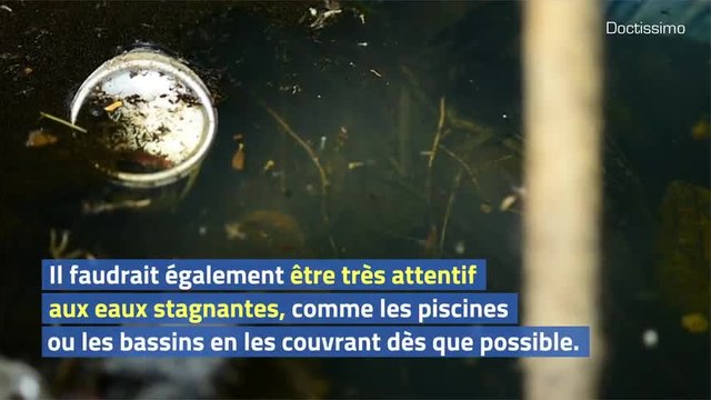 Comment éviter les piqûres de moustiques tigre cet été