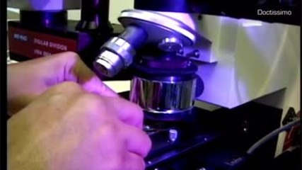 Le covid-19 pourrait survivre plusieurs heures à l'air libre selon une étude