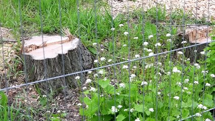 Work continues to progress at Windy Harbour