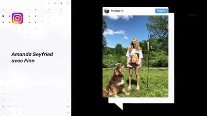 Les stars folles de leurs animaux de compagnie