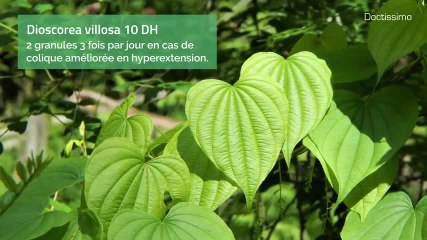 Homéopathie- Troubles du transit