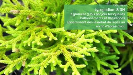 Homéopathie - Flatulences et éructations