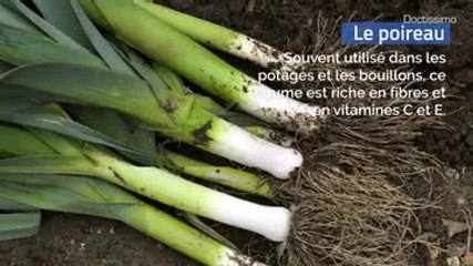 Fruits et légumes de janvier