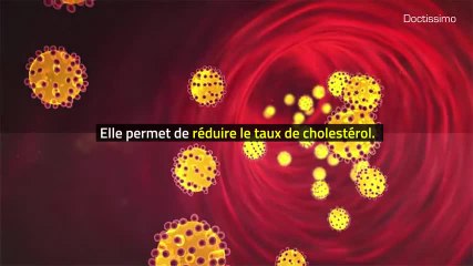 Phytothérapie - Alfalfa