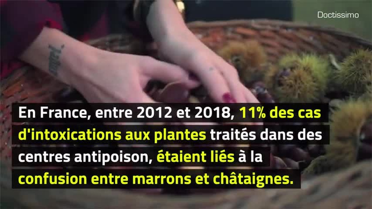 Marrons toxiques