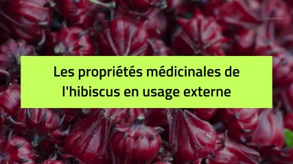 Phytothérapie - Hibiscus