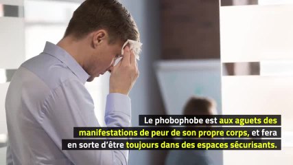 Phobies - Phobophobie