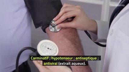 Phytothérapie - Hysope