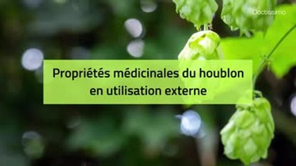 Phytothérapie - Houblon